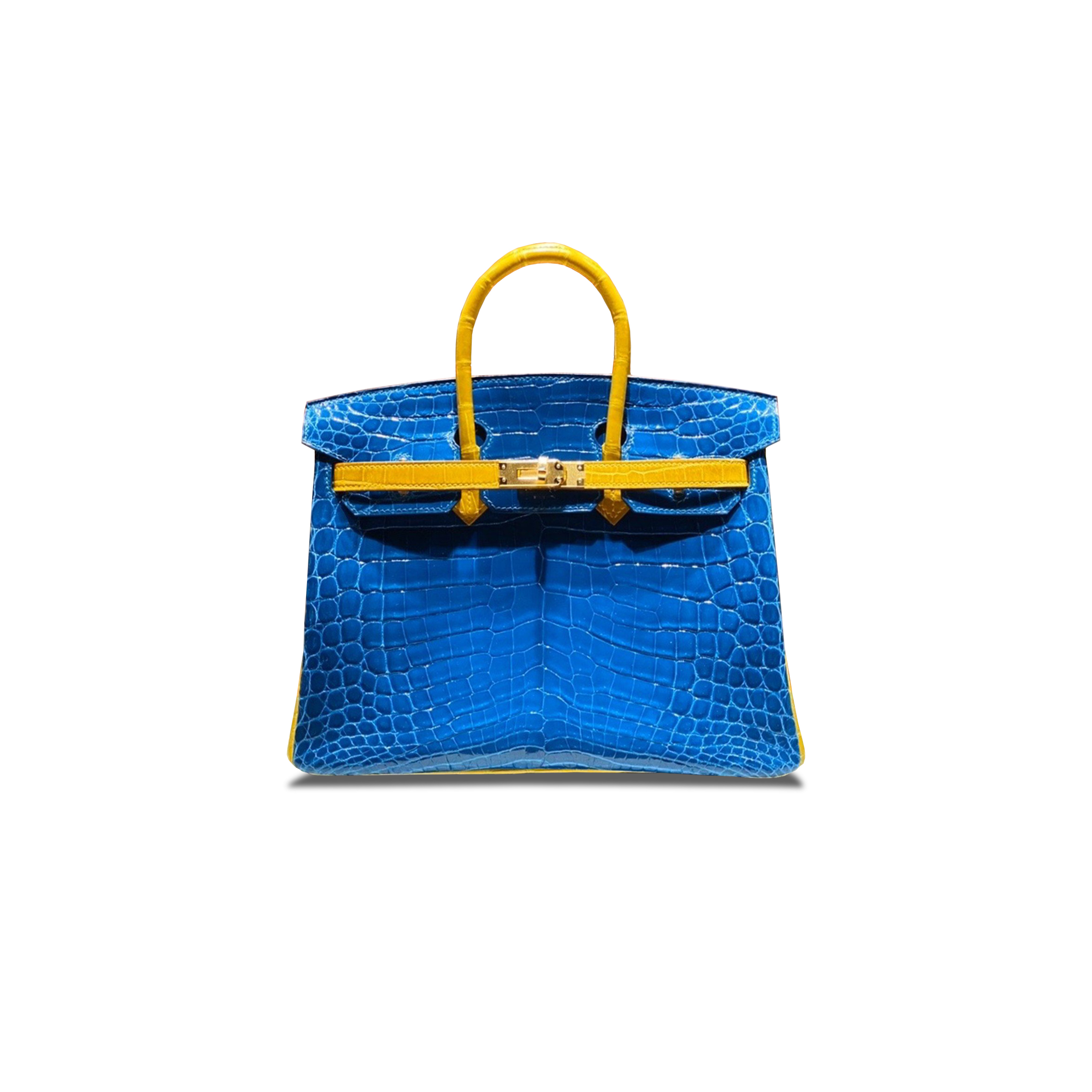 HERMÈS MASTER BIRKIN 25 CROCODILE LEATHER TWO-TONE BAG BAG GOLD BUCKLE H041354CK53 (25*20*13cm)